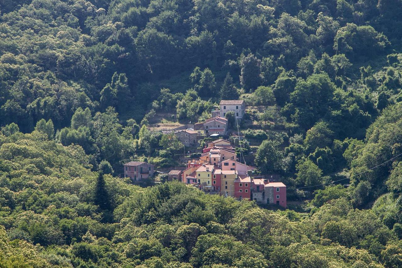 Borgo Di Codeglia - Country Rooms リッコ・デル・ゴルフォ・ディ・スペーツィア エクステリア 写真