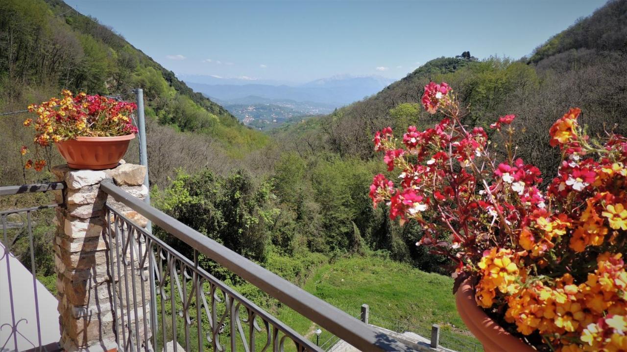 Borgo Di Codeglia - Country Rooms リッコ・デル・ゴルフォ・ディ・スペーツィア エクステリア 写真